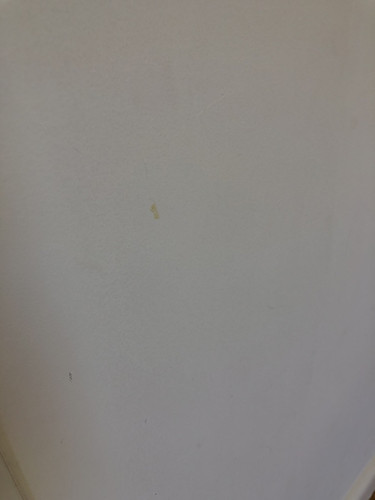 IMG 3888.jpg