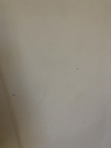IMG 3887.jpg