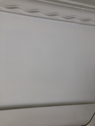 IMG 3929.jpg