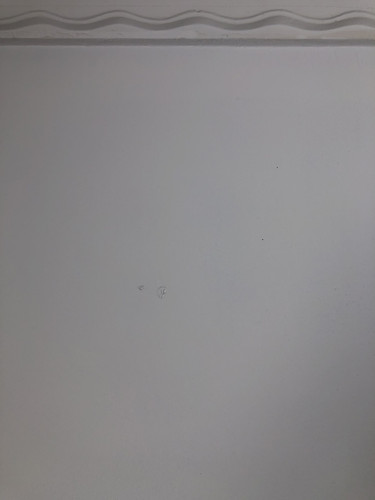 IMG 3925.jpg