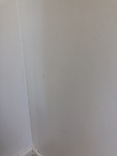 IMG 3919.jpg