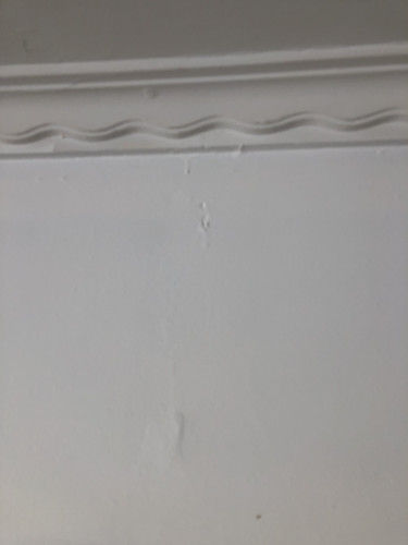 IMG 3928.jpg