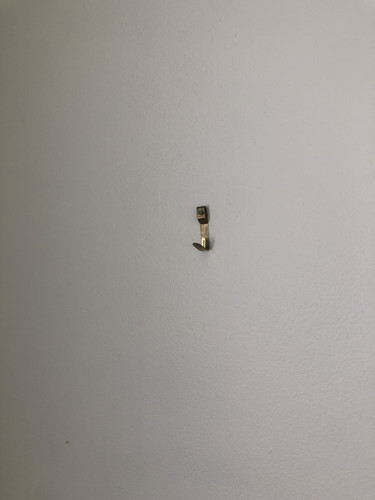 IMG 3920.jpg