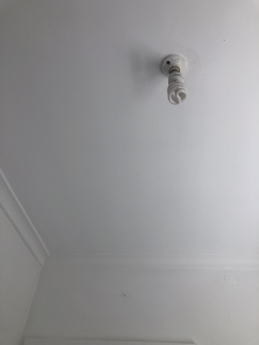 IMG 4620.jpg
