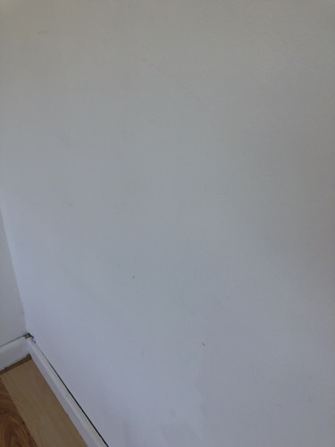IMG 4123.jpg