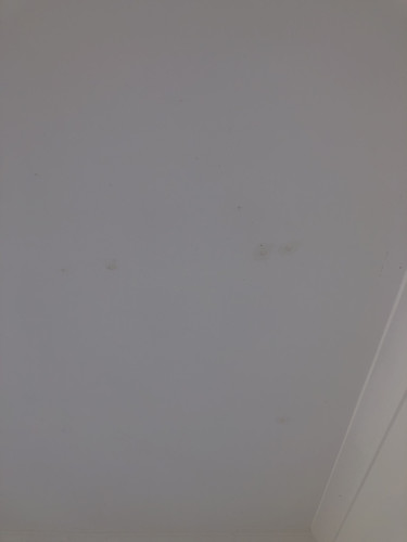 IMG 4141.jpg