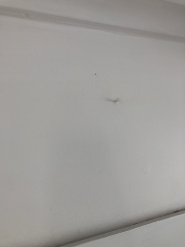IMG 4676.jpg