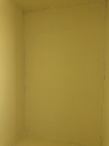 IMG 4291.jpg