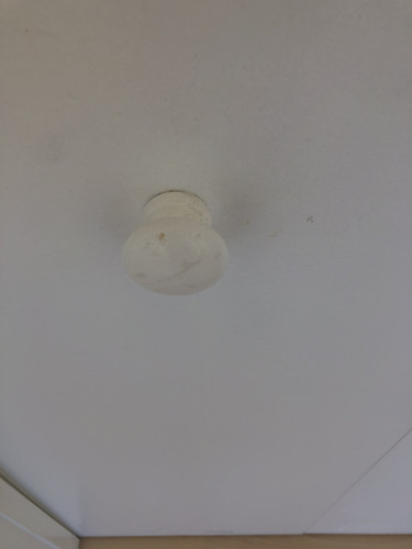 IMG 4271.jpg