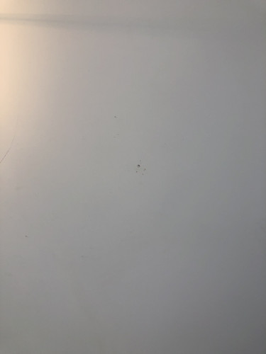 IMG 4150.jpg