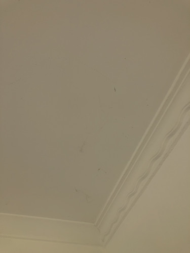 IMG 4153.jpg
