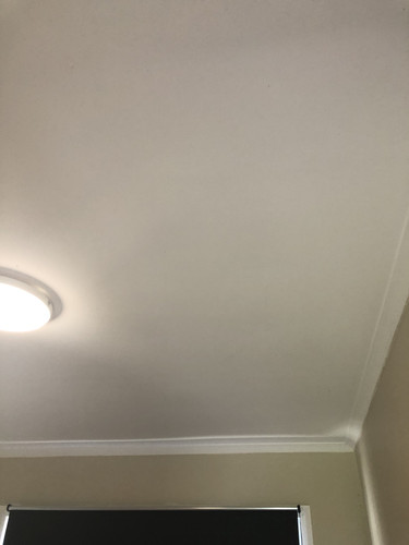 IMG 4385.jpg