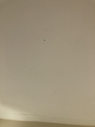 IMG 4390.jpg