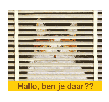 oie overlay (5).gif