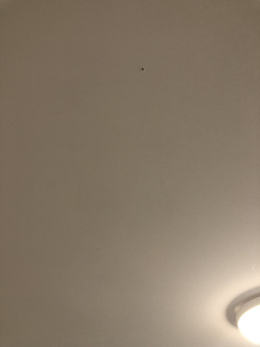 IMG 4386.jpg