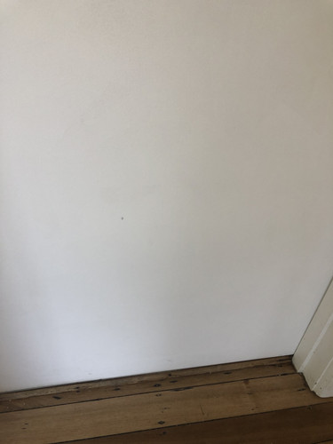 IMG 4435.jpg