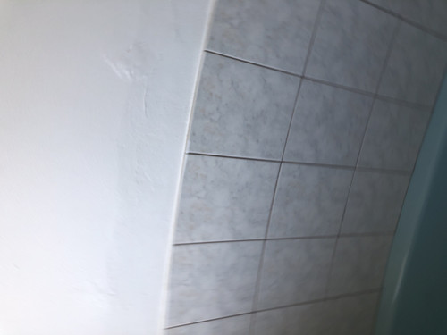 IMG 4457.jpg