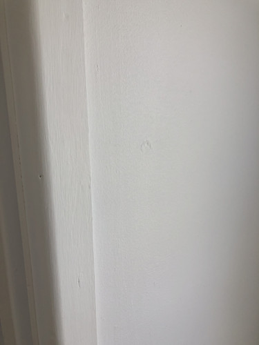 IMG 3827.jpg