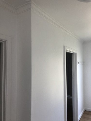 IMG 3820.jpg