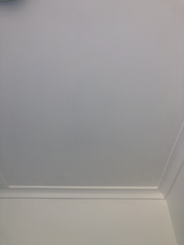 IMG 4516.jpg