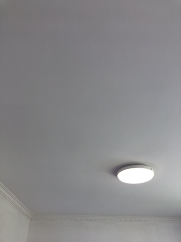 IMG 3973.jpg
