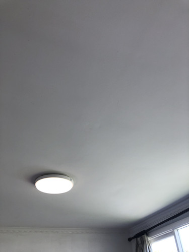 IMG 3974.jpg