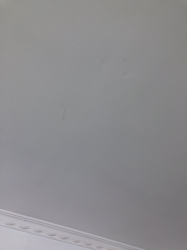IMG 3981.jpg