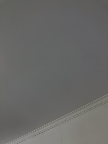 IMG 3978.jpg