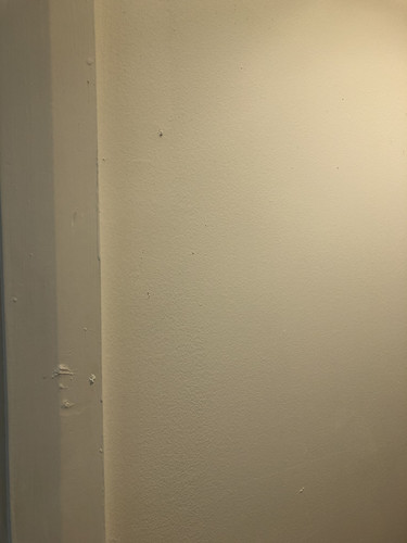 IMG 4008.jpg