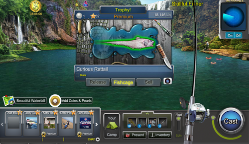 curious rattail1.png