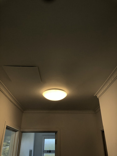 IMG 3845.jpg