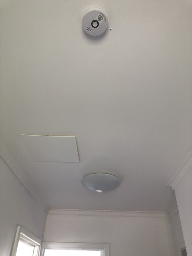 IMG 3844.jpg