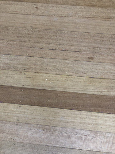 IMG 3833.jpg
