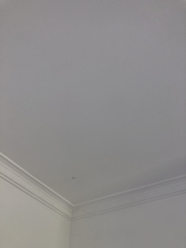 IMG 3847.jpg