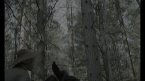 42fd97418274.png
