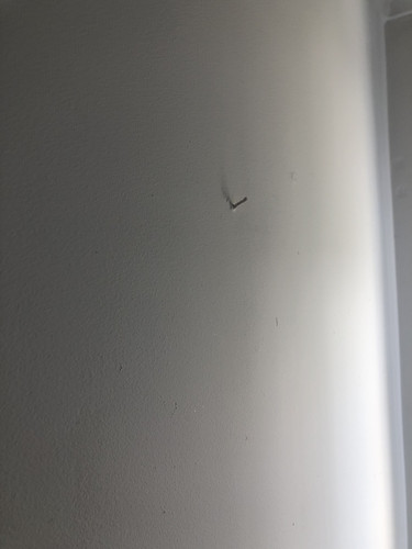 IMG 4191.jpg