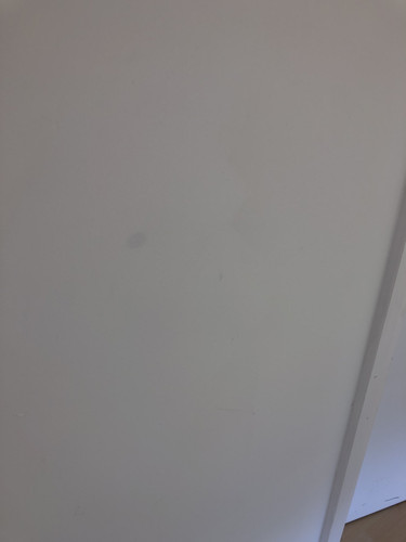 IMG 4219.jpg