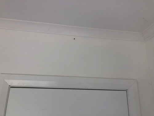 IMG 4083.jpg