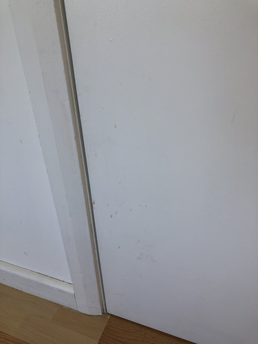 IMG 4080.jpg