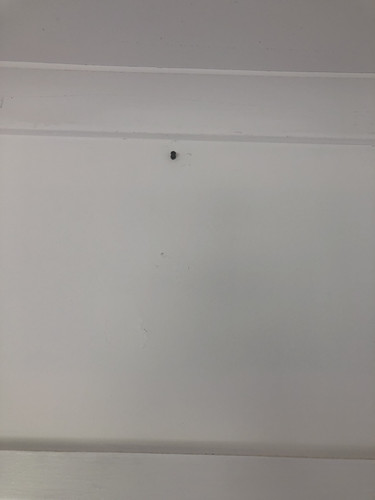 IMG 4084.jpg