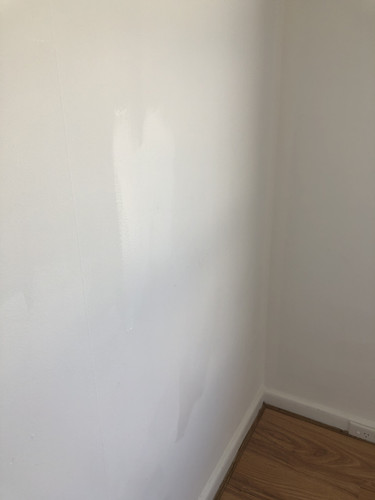 IMG 4087.jpg