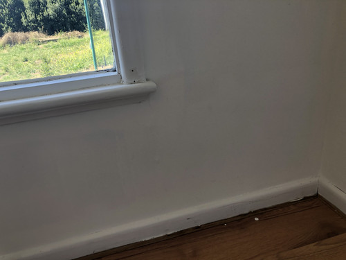 IMG 4103.jpg