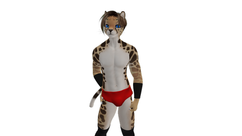 Image1.png
