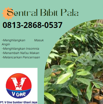 bibit 10.png