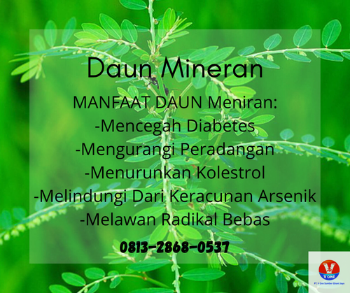 desain daun mineran 3.png