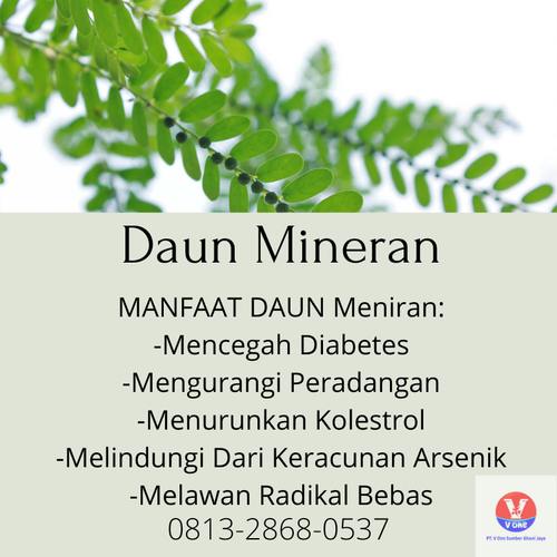 desain daun mineran 5.png