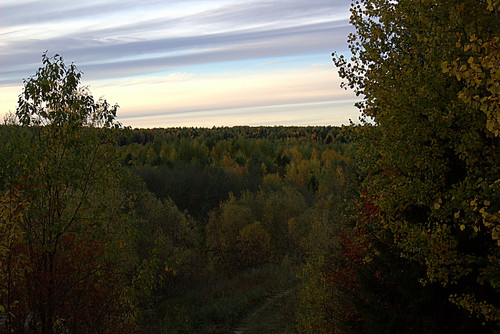 IMG 1492.jpg