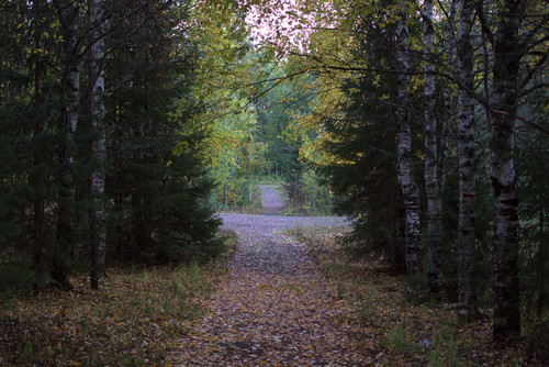 IMG 1371.jpg