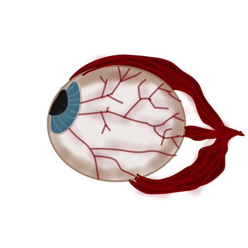 eye.png