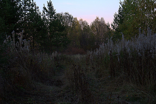 IMG 1628.jpg